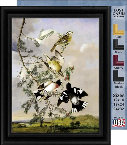 Vista 21 de Lost Cabin American Flamingo por James Audubon Impresión en marco biselado negro Reproducción de pintura de obras de arte finas Póster