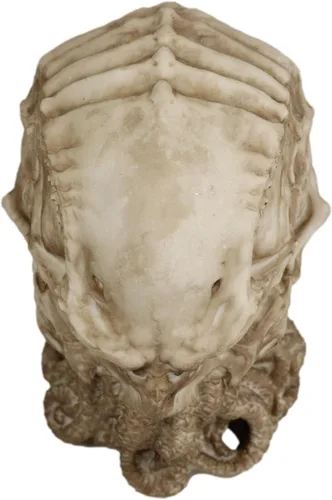 Vista 4 de Ebros Gift Figura de escritorio de calavera alienígena The Call of Cthulhu, 8 pulgadas de alto, monstruo marino gigante Kraken, escultura de pulpo