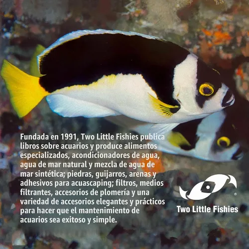 Vista 6 de Two Little Fishies ATLCF2 Coraffix - Adhesivo de cianoacrilato, 2 onzas