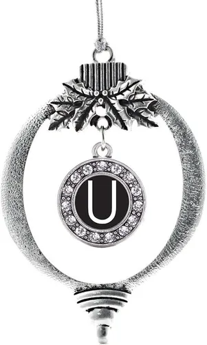 Vista 146 de Inspired Silver - Adorno de cromosoma 21 con dije de círculo de plata con joyas de circonita cúbica