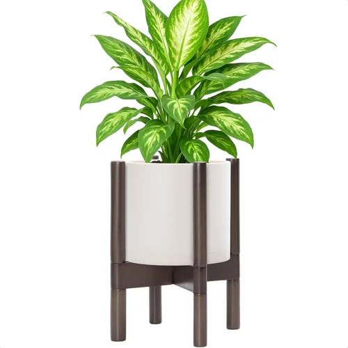 Vista 26 de Maceta de D'vine Dev con soporte - Maceta de flores de cilindro de plástico de 8.0 pulgadas con soporte de madera para interiores, maceta mate negra