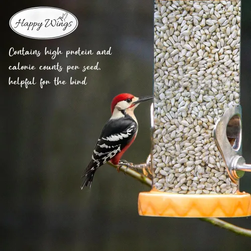 Vista 7 de Happy Wings - Alimento para pájaros con semillas de cártamo de 5 libras