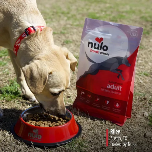 Vista 7 de Nulo Frontrunner - Alimento seco para perros, receta de carne de res alta en proteínas, cebada y cordero, croquetas naturales con granos antiguos