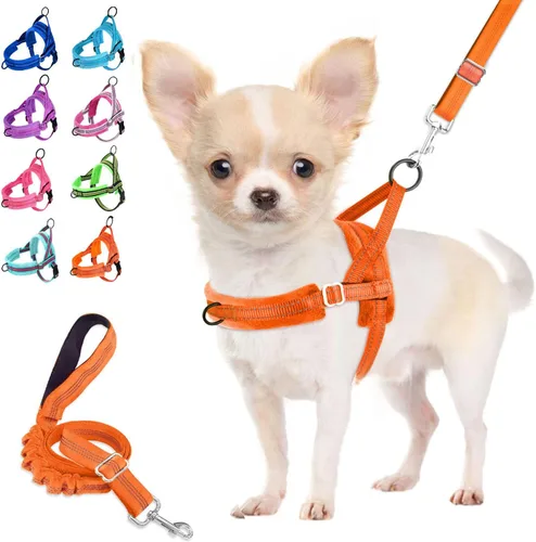 Vista 15 de Lukovee Juego de arnés y correa para perro sin tirones, arnés acolchado suave para perro pequeño, chaleco reflectante ajustable para cuello y pecho