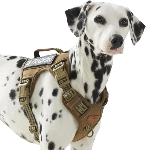 Vista 20 de Arnés para perro sin tirones para perros de tamaño pequeño, chaleco ajustable para caminar fácilmente, material Oxford transpirable, tiras Verde