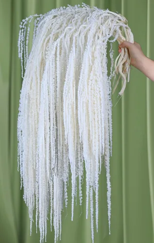 Vista 8 de Glicrili 5 piezas de flores colgantes de glicinia en color crema y blanco - Flores de Amaranthus en crema preservadas y secas para ramo de boda