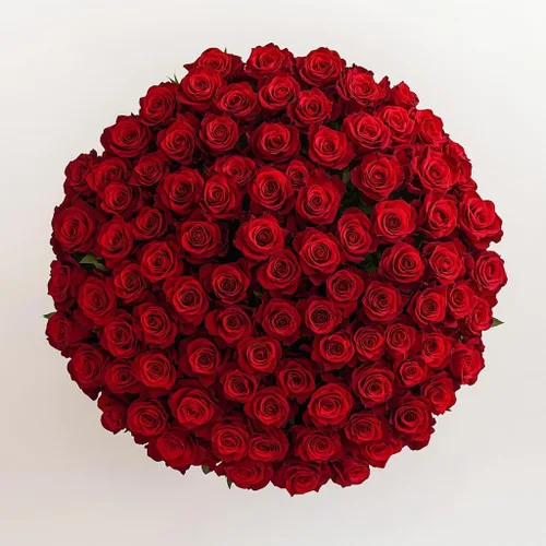 Vista 18 de GlobalRose Ramo de 50 rosas surtidas, rosas de origen responsable, flores frescas, ramo fresco de flores seleccionadas a mano para el día
