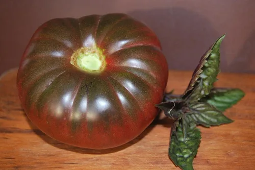 Vista 2 de Semillas de tomate elefante negro - Vegetal de reliquia - Sin OMG