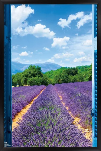 Vista 8 de Trends International Póster de pared de campo de lavanda, 14.725 x 22.375 pulgadas, versión enmarcada de madera de granero Versión enmarcada Barnwood