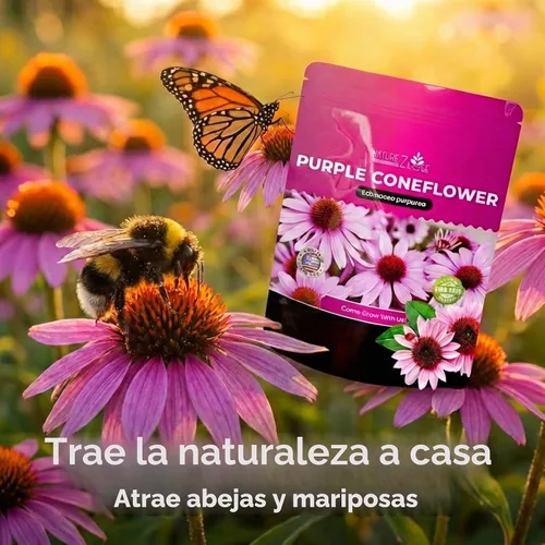 Vista 4 de Semillas de Equinácea, Semillas de Flor de Cono Púrpura, Más de 2300 Semillas de Equinácea para Plantar, Sin OGM, Polinización Abierta, Semillas