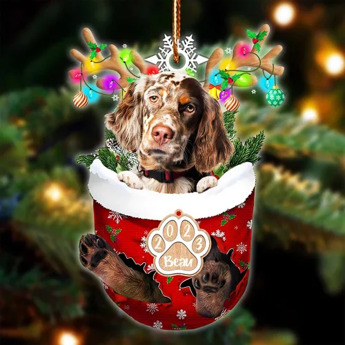 Vista 72 de NAZENTI Adorno Navideño de Bolsillo Personalizado de Affenpinscher en la Nieve, Adorno de Forma Acrílica de Perro, Adorno de Navidad 2023, Adorno