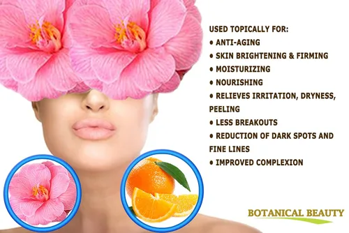 Vista 3 de VITAMINA C CAMELLIA Aceite Hidratante Facial Aceite Anti-Envejecimiento Regenerador Nutritivo 20% Vitamina C y Aceite de Semilla de Camelia, 100%