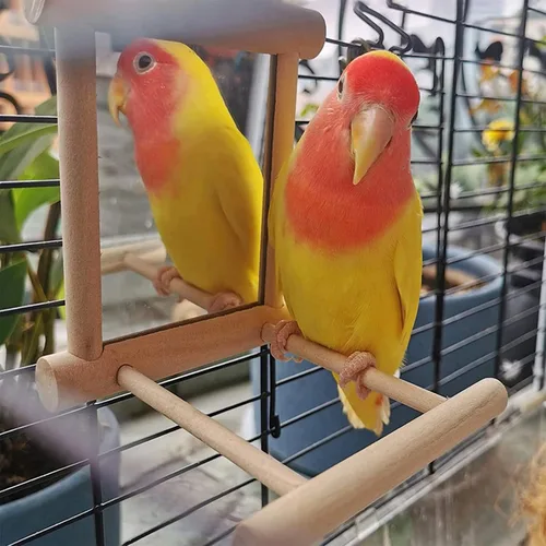 Vista 3 de JIYAN Espejo de pájaro columpio para pájaros, jaula de loro, juego colgante con espejo para guacamayo, cacatúa, cacatúa, conure, tortolitos, canarios