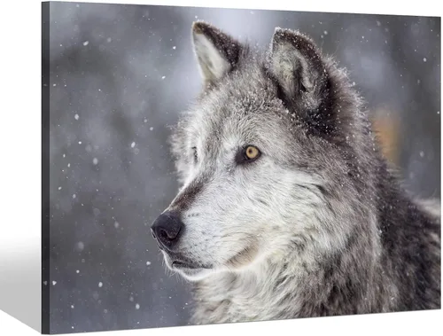 Vista 11 de Sea Whisper - Lienzo de arte de pared de vida silvestre, lobo en la hierba con ojos firmes, naturaleza, bosque, escena de parque, pintura artística