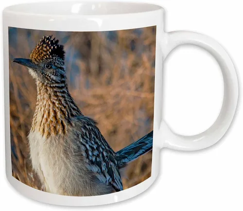 Vista 11 de 3dRose Roadrunner bird, Bosque del apache NWR, Nuevo México - US32 CHA0044 - Chuck Haney - Taza negra de dos tonos de 11 oz Negro