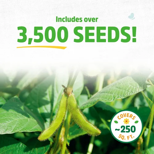 Vista 2 de Soja para cultivo de cobertura - Cobertura de 1000 pies cuadrados