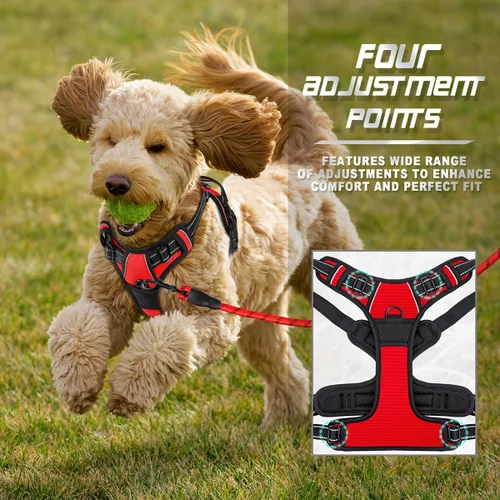 Vista 175 de BARKBAY - Arnés para perro sin tirones con clip frontal, material resistente y reflectante, asa de fácil control para pasear perros grandes