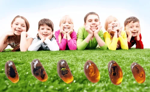 Vista 5 de 8 piezas de fósiles ámbar con insectos, muestras de piedras de cristal para decoración del hogar, colecciones, colgantes ovalados, colgante