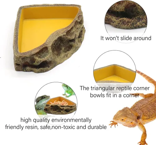 Vista 5 de Comedero de reptiles Tazón de resina para anfibios para lagarto Gecko tortuga dragón barbudo