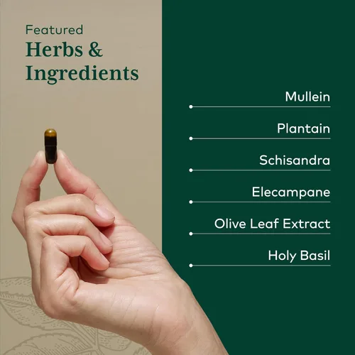 Vista 4 de GAIA HERBS PRO Fórmula diaria de pulmón, apoyo para la salud respiratoria* - Suplemento inmunológico con hoja de gordolobo, raíz de malvavisco y más