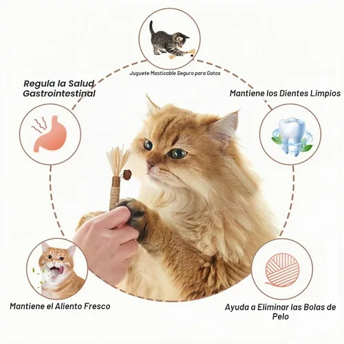 Vista 4 de Juguetes masticables para gatos, palos de Silvervine para gatos, cuerda de limpieza de dientes, cuidado dental de dentición de gatitos, gatito