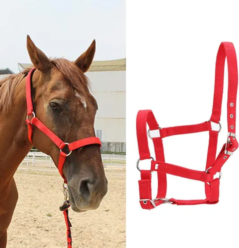 Vista 3 de Cabestro ajustable para caballo, cabestro de cuero para caballos, cabestro de cuero para caballos Halter, control de caballo, caballo, correa