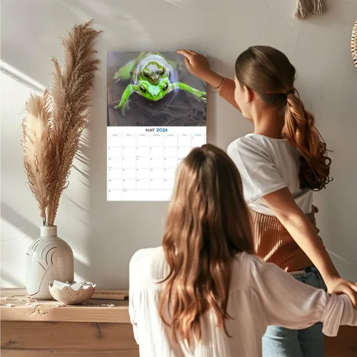 Vista 507 de Calendario de grises africanos 2025 2026 – Planificador mensual de pared de aves africanas – 12 x 18 pulgadas (abierto), calendario de pared