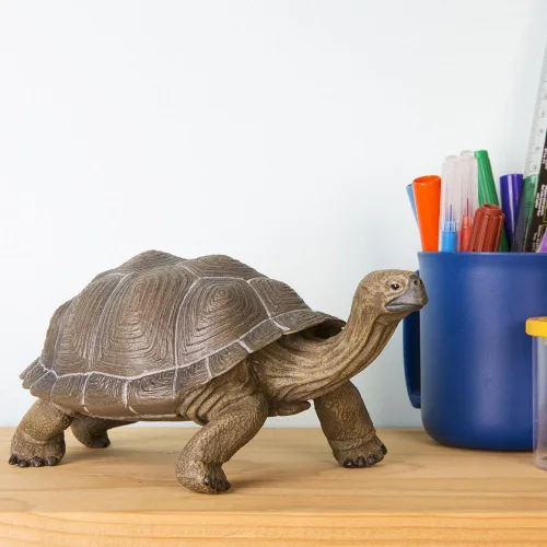 Vista 4 de Safari Ltd. Figura de tortuga – Figura detallada de plástico de 8.5 pulgadas – Divertido juguete educativo para niños, niñas y niños a partir de 18