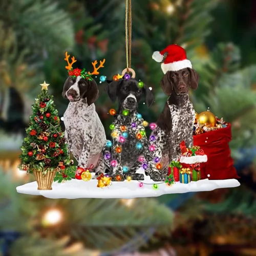 Vista 64 de Nazenti Adorno de Navidad personalizado con amigos Affenpinscher – Adorno de perro personalizado para amantes de las mascotas, acrílico plano