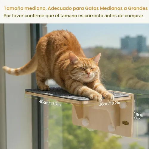 Vista 3 de Pecute - Percha para ventana de gato 2 en 1 y estantes de pared, hamaca