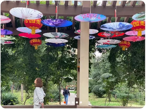 Vista 6 de Bestage Sombrilla de seda de bambú hecha a mano de 33 pulgadas con aceite de seda de bambú para arte chino japonés clásico, sombrilla de baile