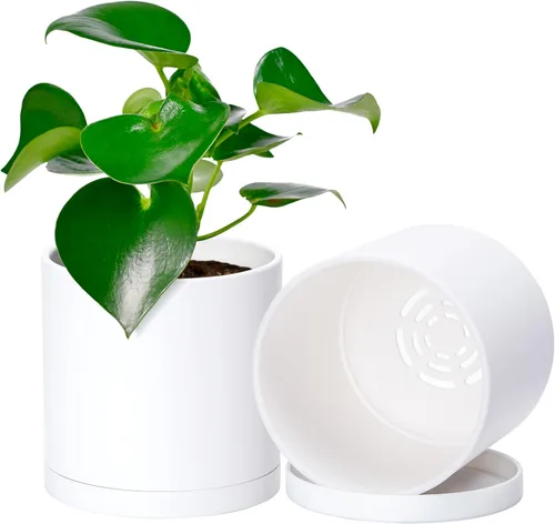 Vista 10 de D'vine Dev - Paquete de 2 macetas de plástico modernas de 4 pulgadas, pequeñas macetas de jardín para plantas con orificios de drenaje y platillos