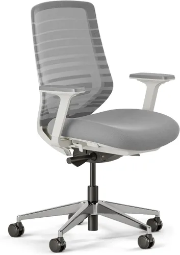 Vista 9 de Silla ergonómica Branch - Una silla de escritorio versátil con soporte lumbar ajustable, respaldo de malla transpirable y ruedas suaves - Grafito