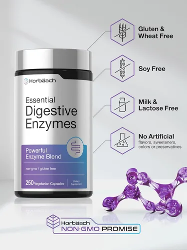 Vista 5 de Horbäach Enzimas digestivas esenciales 250 cápsulas Potente mezcla de enzimas para hombres y mujeres Suplemento sin OMG y sin gluten