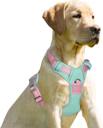 Vista 17 de BARKBAY - Arnés para perro sin tirones con clip frontal, material resistente y reflectante, asa de fácil control para pasear perros grandes