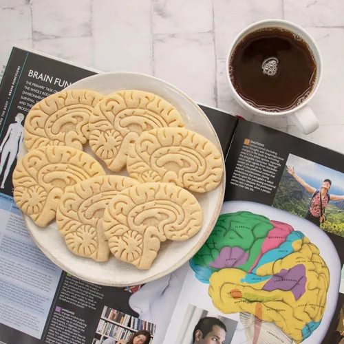 Vista 4 de Cortador de galletas anatómico Brain, 1 pieza - Bakerlogy