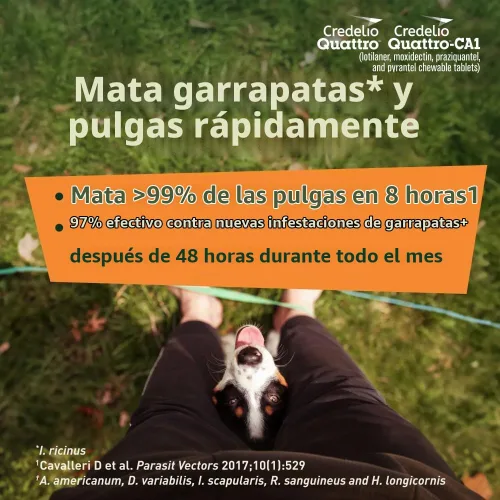 Vista 7 de Credelio Quattro / Credelio Quattro-CA1 para perros 12.1-25 libras, 1