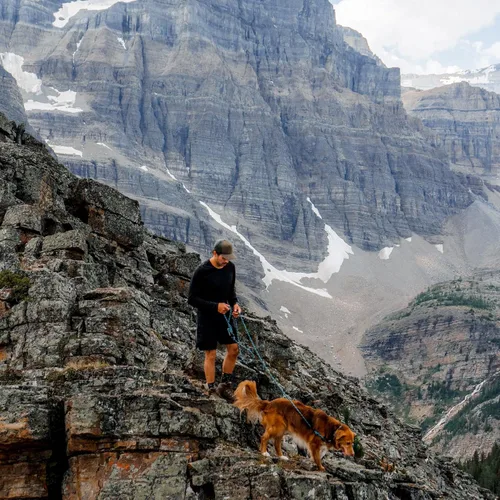Vista 8 de Wilderdog Correa de cuerda de escalada con mosquetón para perros medianos y grandes, 10 pies, color azul pacífico
