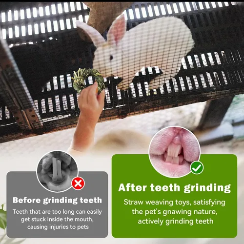Vista 3 de 12 juguetes masticables de conejito para dientes, círculo de heno Timothy para conejos, anillos de heno Timothy para animales pequeños, conejillos