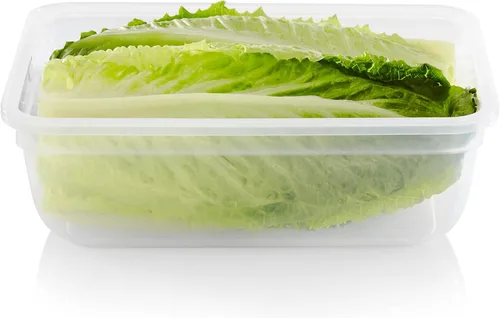 Vista 7 de Snapware Juego de 10 recipientes de plástico sin BPA para almacenamiento de alimentos con tapas herméticas