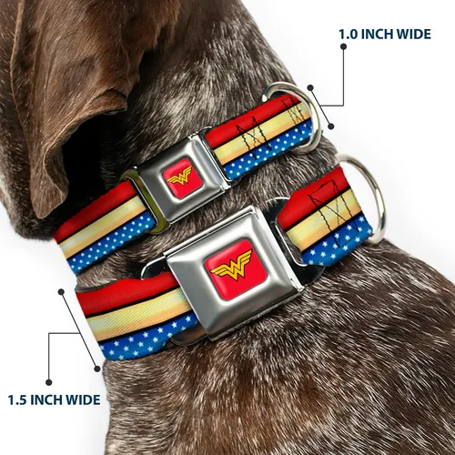 Vista 2 de Buckle-Down Collar de perro con hebilla de cinturón de seguridad, diseño de mujer maravilla, rayas, estrellas, rojo, oro, azul, blanco, 1 pulgada