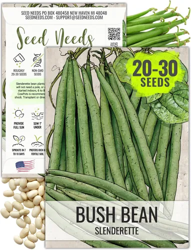 Vista 14 de Seed Needs Semillas de Frijol Lima para Plantar Frijoles Henderson Lima - Semillas de Vegetales Heirloom Sin OMG y Sin Tratar para Plantar un Jardín