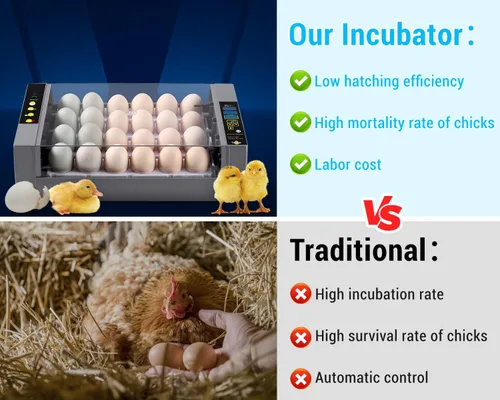 Vista 9 de Gpeng Incubadora de huevos, incubadora de 24 huevos con pantalla digital, giro automático de huevos, control automático de temperatura, para incubar