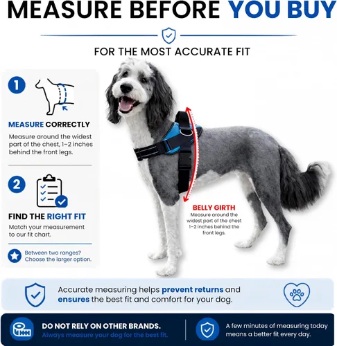 Vista 4 de ShawnCo Essential Pro - Arnés para perro, chaleco sin tirones para mascotas con 3 clips para correa y parches laterales removibles y reflectantes