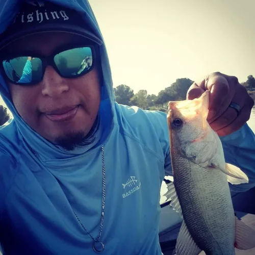 Vista 5 de BASSDASH UPF 50+ - Camisa de pesca de manga larga para hombre con máscara UV cuello polaina sudadera con capucha