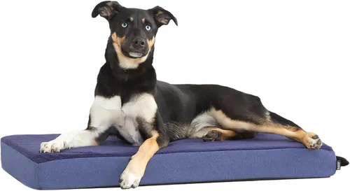 Vista 11 de Barkbox; cama para perro con plataforma de espuma viscoelástica, colchón de felpa para alivio ortopédico de articulaciones, lavable a máquina