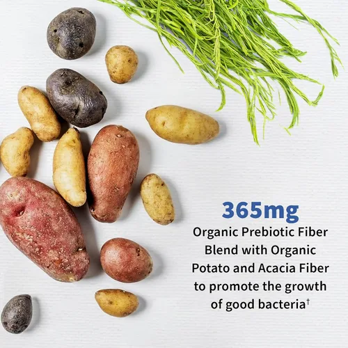 Vista 4 de Garden of Life Probióticos para hombres Formulados por Dr. 50 mil millones de UFC, 15 probióticos y probióticos formulados por el Dr. Organic Kids+