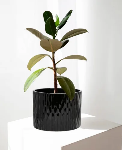 Vista 6 de LaDoVita Maceta de cerámica con soporte, maceta de 10 pulgadas con estante de madera, macetas redondas modernas para interiores con soporte