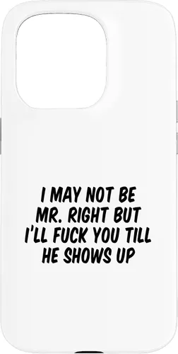 Vista 14 de I May Not Be Mr. Right But I’ll Fuck You Till He Shows Up Case for iPhone 17