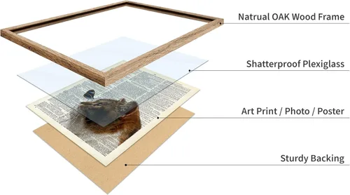 Vista 4 de Poster Master Póster artístico de diccionario, diseño de mariposa sobre gato, arte de gato y mariposa, regalo para veterinarios, amantes